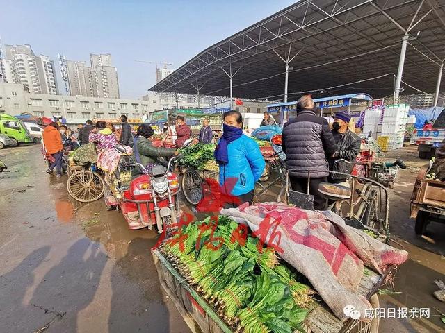 咸阳阳光市场蔬菜价格一览，最新动态与趋势分析