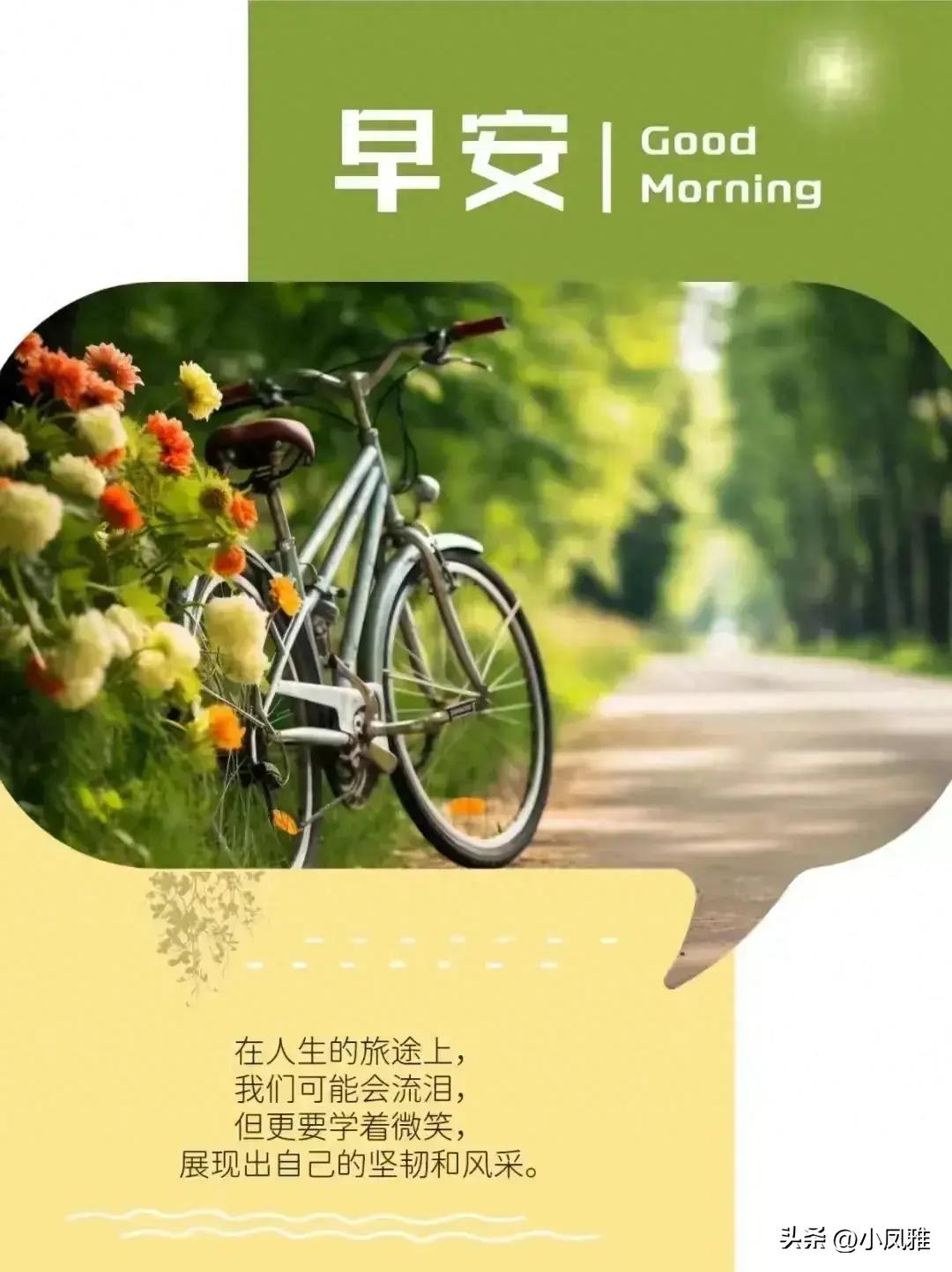 2024年天天彩资料免费大全,系统评估分析_生态版27.850