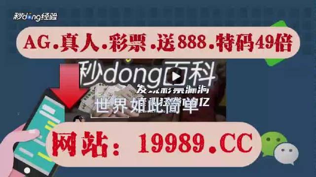 澳门六开奖结果2024开奖今晚,解析解释说法_未来版48.741