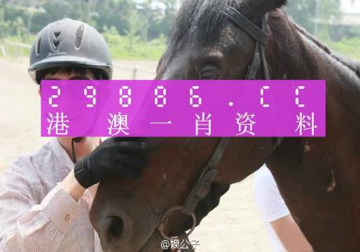 澳门必中一一肖一码服务内容,现况评判解释说法_社交版53.571