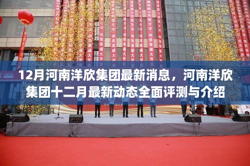 河南洋欣集团最新动态，一个温馨的日常故事展现