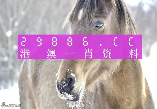 澳门一肖一码100%正确答案,专家意见法案_精密版42.242
