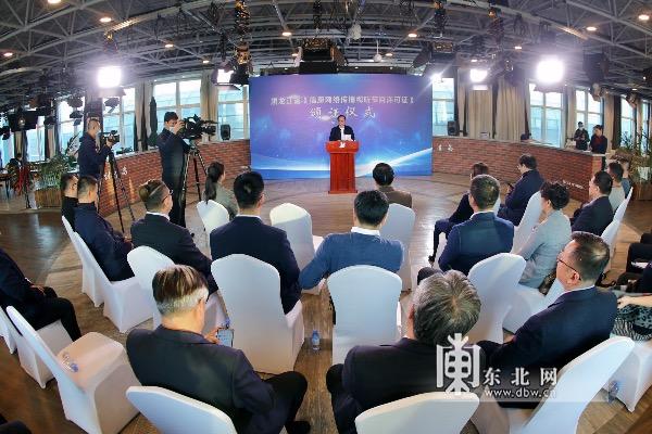 杨帆最新动态，时代弄潮儿扬帆起航