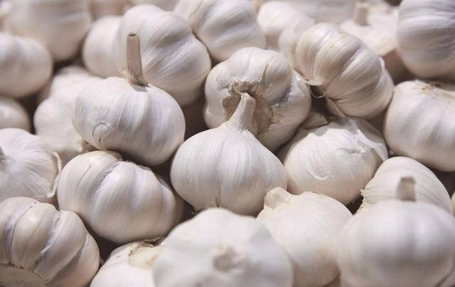金乡蒜片最新价格信息，实时更新！