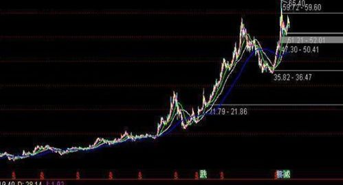 2开头股票解析，究竟属于哪类股票？