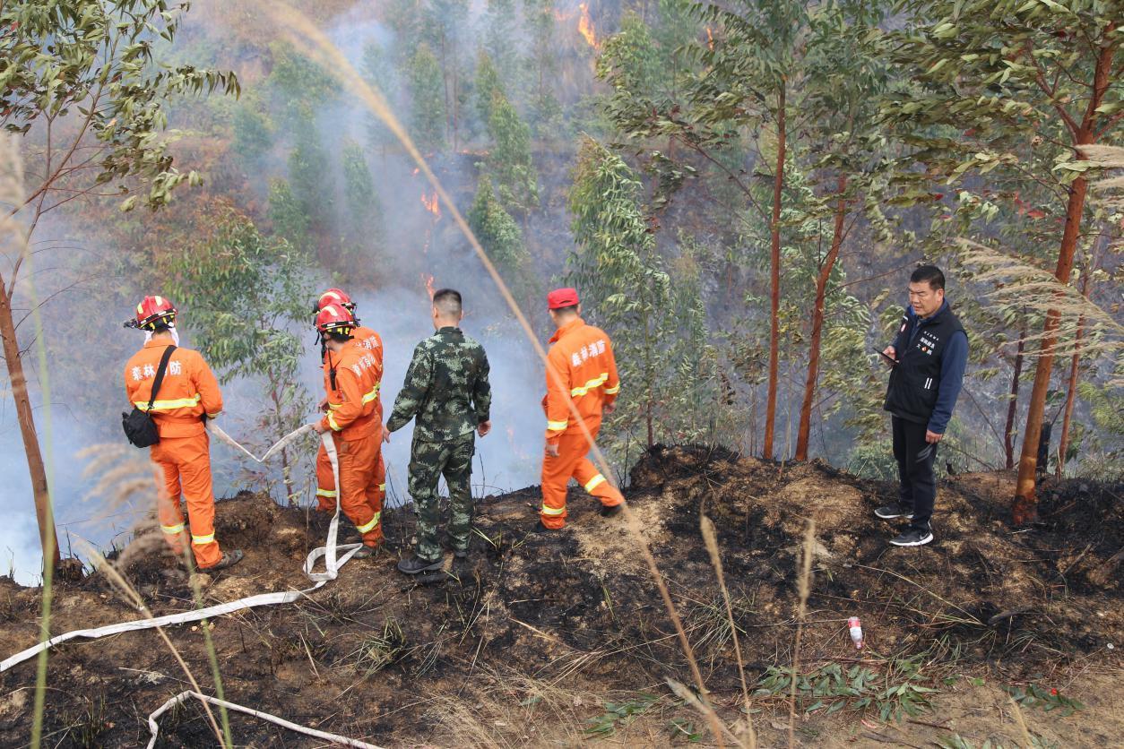 深汕合作区，日常温暖与友情爱筑的故事更新揭秘