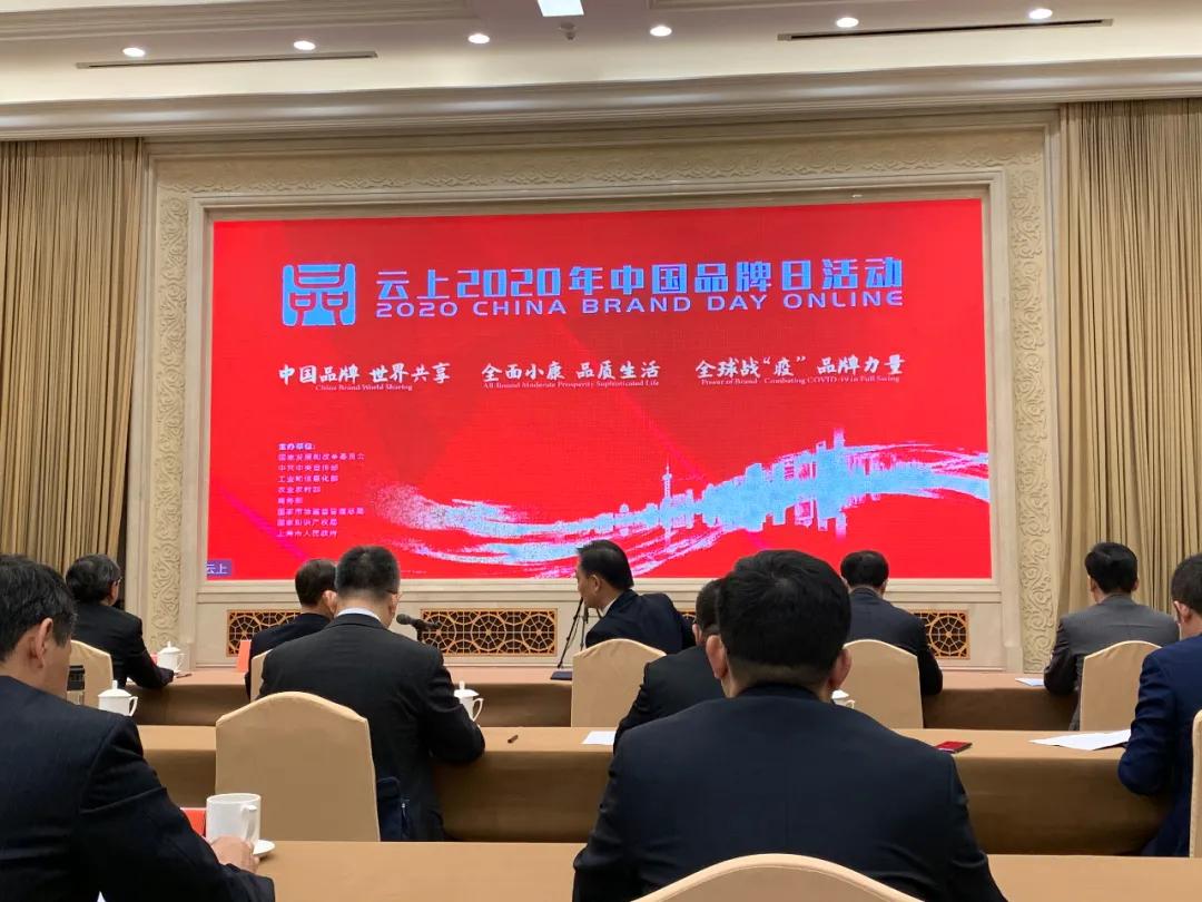 焦点科技股票深度解析，投资价值的探索与洞察