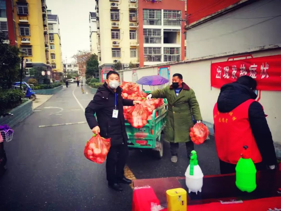 肥东最新疫情动态，变化中的学习铸就自信与成就之力