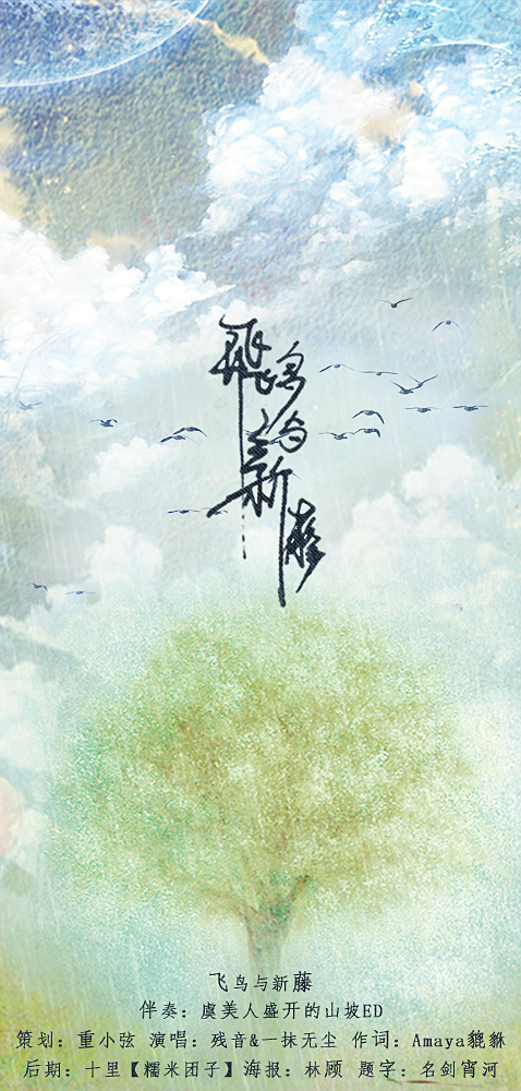 最新呗飞鸟，温馨日常趣事分享