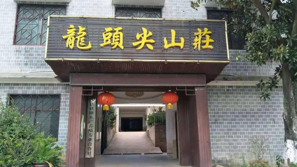 OK棋牌最新更新，揭秘游戏背后的故事与亮点解析