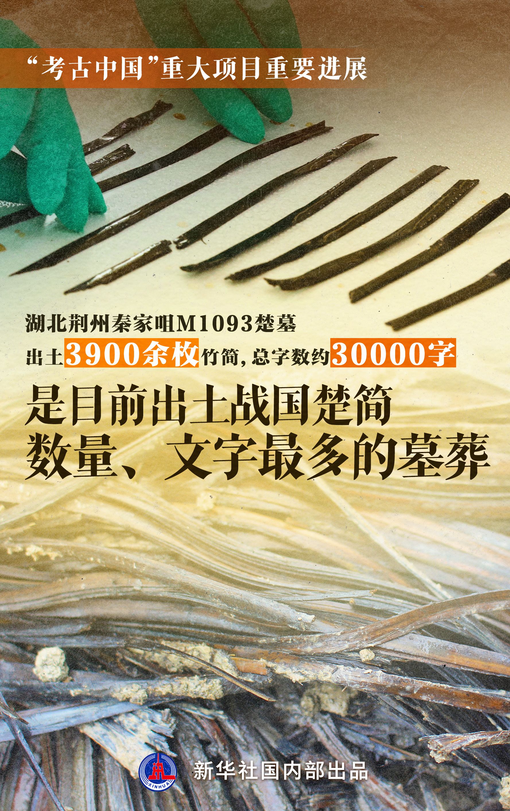 湖北盗墓最新揭秘，神秘小巷宝藏小店的秘密之旅