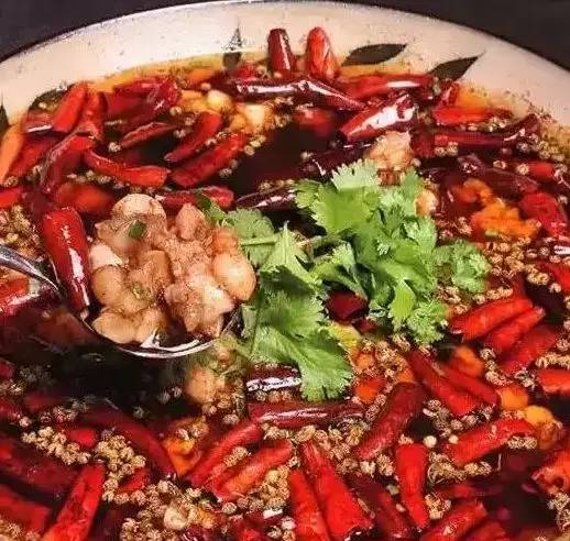 最新鲜菜选购与烹饪指南，从初学者到进阶用户的详细步骤