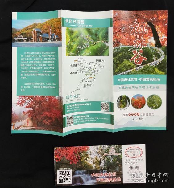 枫林谷最新探索，新兴旅游胜地的迷人魅力