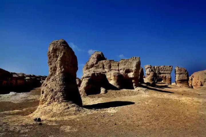 诸城最新城，学习变革的灯塔，自信与成就感的培育地