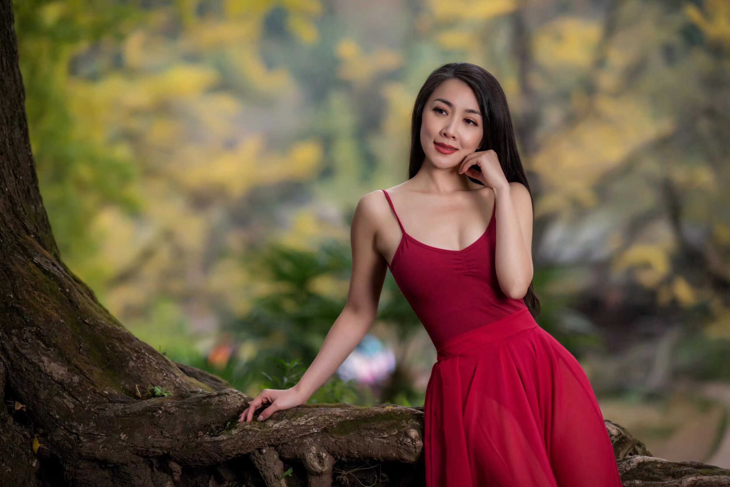 最新最美续集，小巷中的隐藏瑰宝